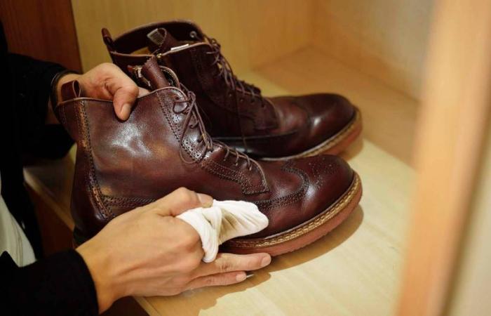 How to remove mold from leather