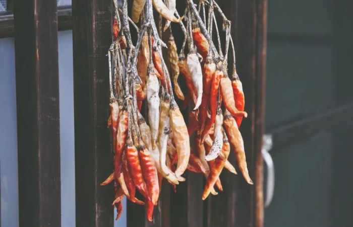 How to dry habanero peppers