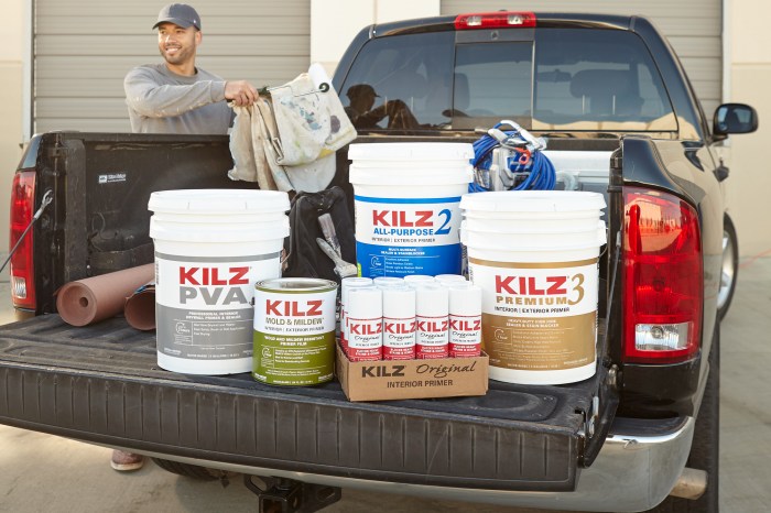 How to get mold out of car