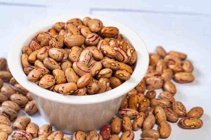 The best way to Dry Beans A Complete Information