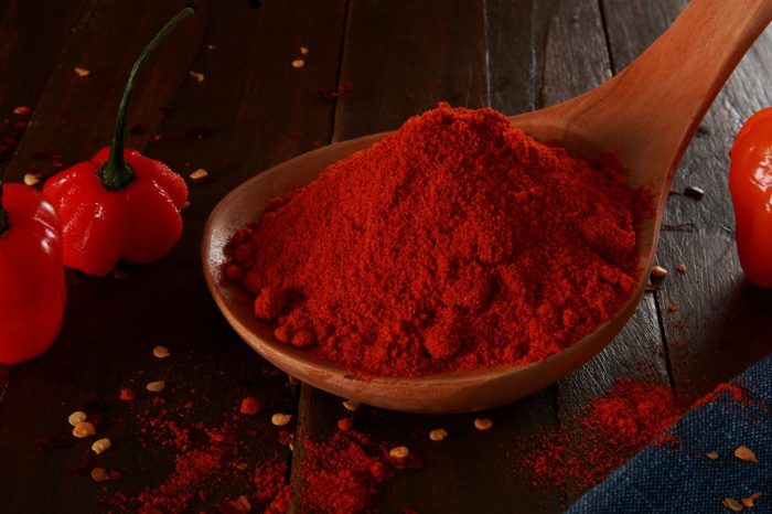 Easy methods to Dry Habanero Peppers A Full Information