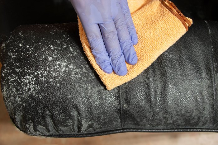 How to clean mold off leather