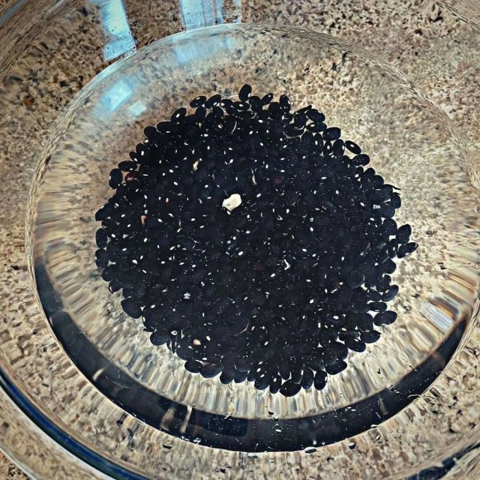 How to dry beans