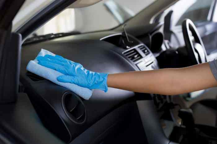 Learn how to Get Mildew Out of Your Automobile