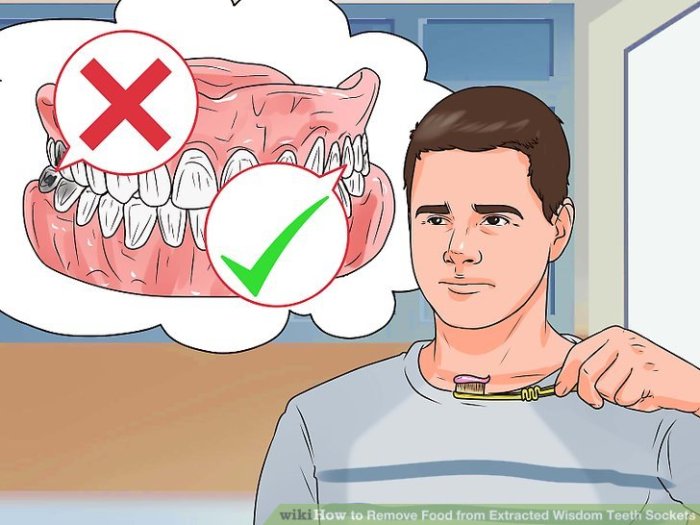 The way to Get Meals Out of Knowledge Tooth Gap A Information