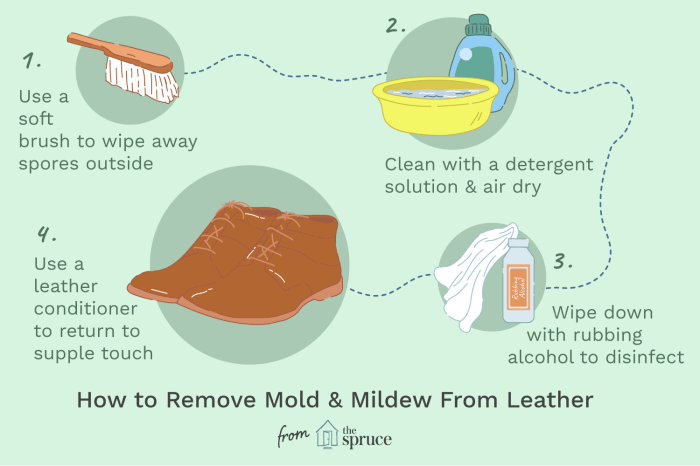 How one can Clear Mould Off Leather-based A Complete Information