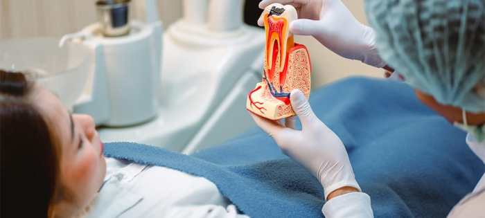 Root Canal Therapeutic Time A Complete Information