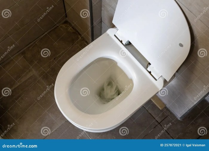 Tips on how to Dissolve Rest room Paper Clogs